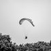 A paraglider gracefully glides above the lush trees in Lima, Peru, under a cloudless sky.